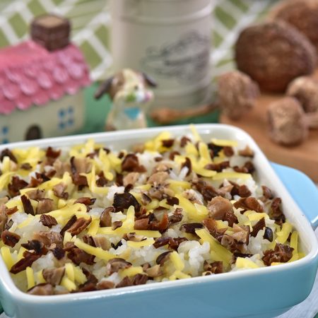 4021 起司奶香野菇蔬食軟飯(奶蛋素/主食任選)
